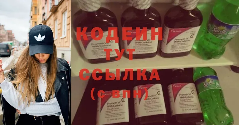 Кодеиновый сироп Lean Purple Drank  купить наркотики цена  mega как войти  Данков 